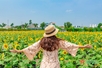 Flower field in Thu Duc city – new destination for holiday travelers